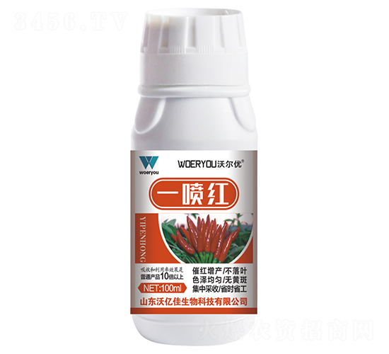 ����һ���-�ֶ���