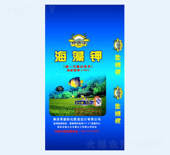 Ħ��纣���-����³
