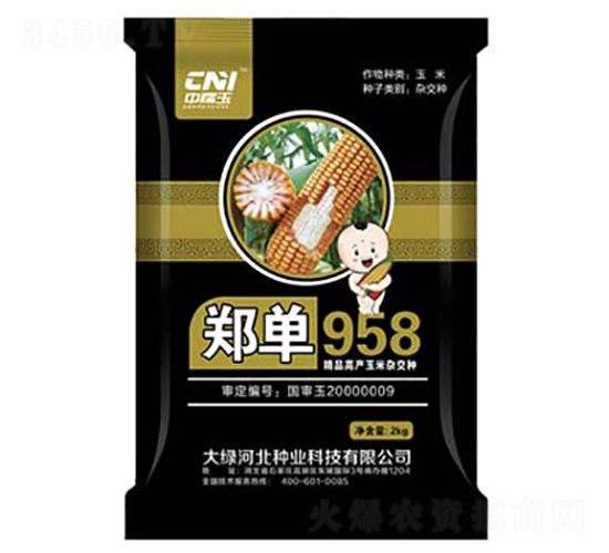 ֣��958-��������-�δ���