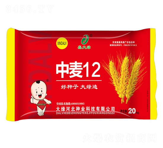 ����12-С������-�δ���