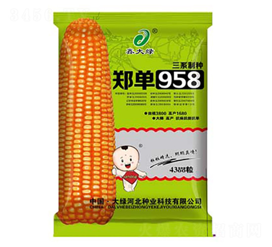 4300��֣��958-��������-�δ���