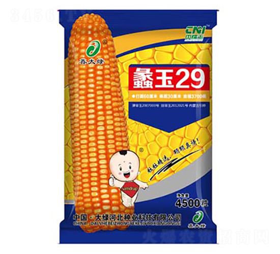 ���29-��������-�δ���