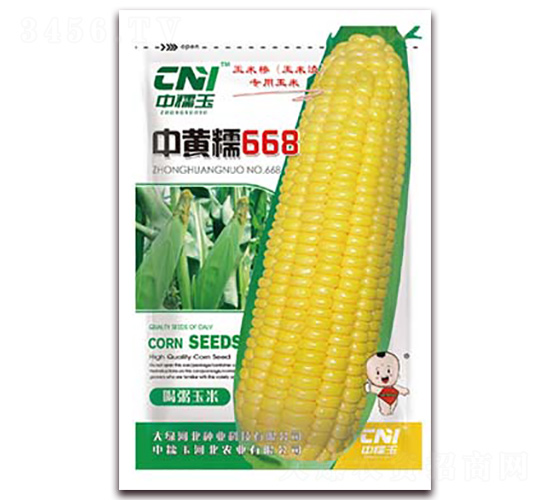 �л�Ŵ668-Ŵ��������-�δ���