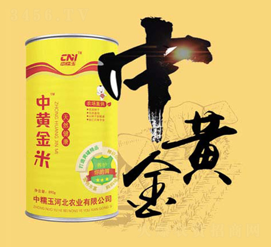 �лƽ�С��-Ŵ��������-�δ���
