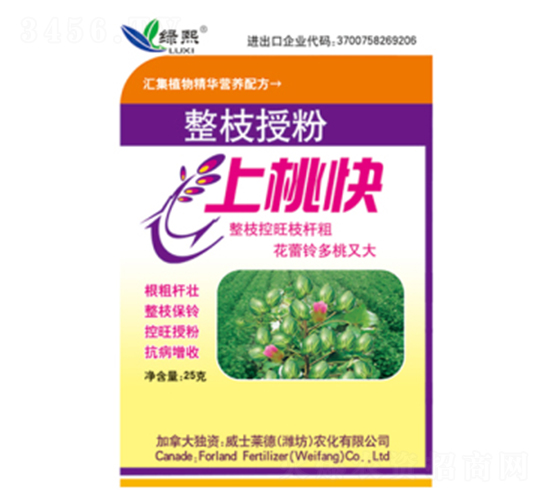 ��֦�ڷ����ҿ�-����-��ʿ����