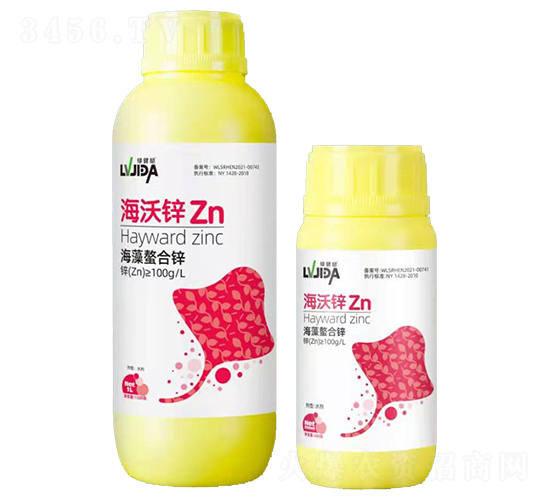 ������п-����пZn-̨�嶹����
