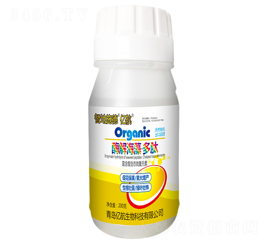 ø�⺣�塤����-�ǵ�ʩ��-�ں�