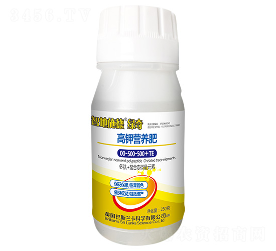 �߼�Ӫ����00-500-500+TE-�ǵ�ʩ�¡�����-�ں�