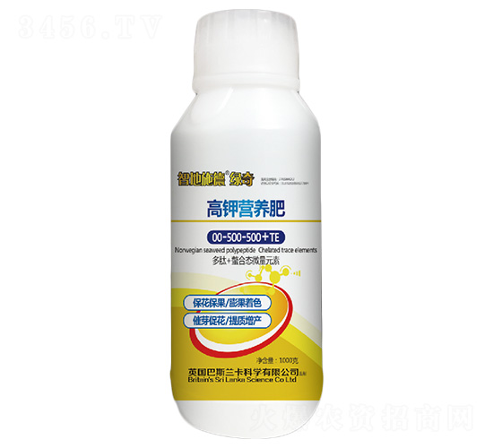 1000g�߼�Ӫ����00-500-500+TE-�ǵ�ʩ�¡�����-�ں�