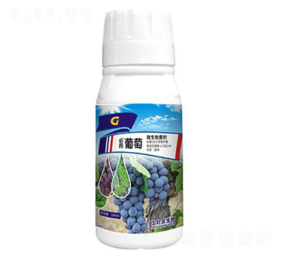 100ml΢�������-��ҩ����-���ý�