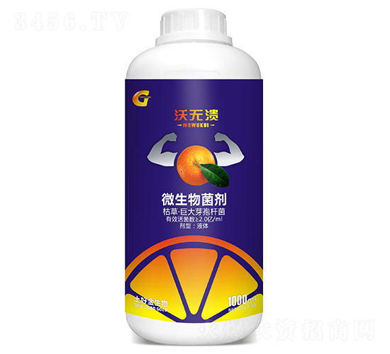1000ml΢�������-������-���ý�