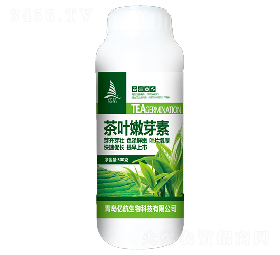 500g��Ҷ��ѿ��-�ں�
