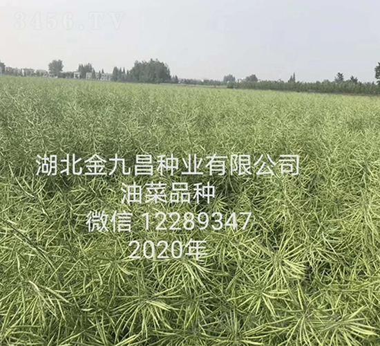 ������Ų���ҵ���޹�˾�Ͳ�Ʒ��