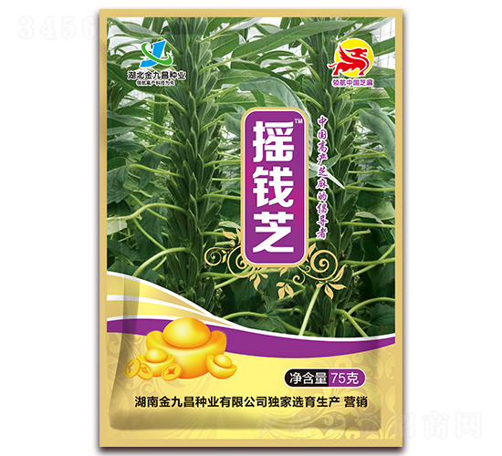 ҡǮ֥-֥������-��Ų�