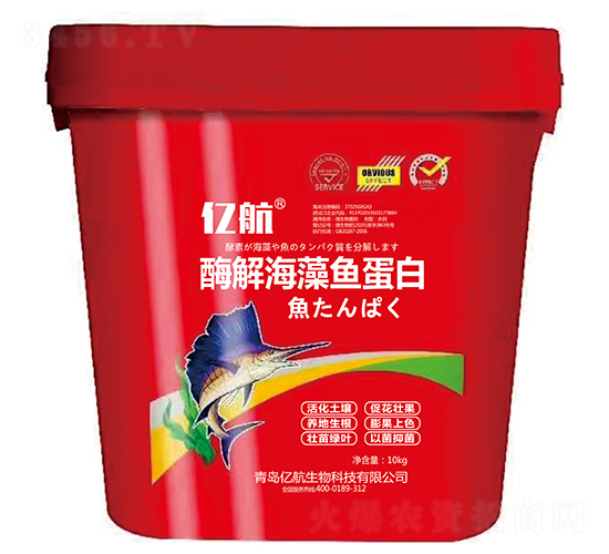 ø�⺣���㵰��-�ں�