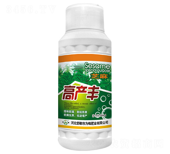 500ml֥��߲���-Ϊ���ҵ