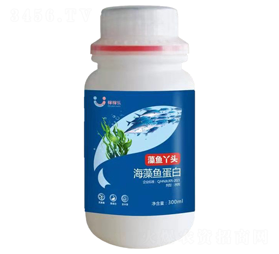 �����㵰��-����Ѿͷ-�ڼ���