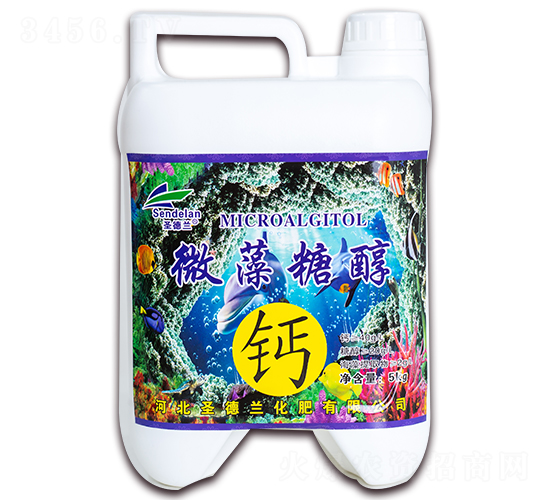 5kg΢���Ǵ���-ʥ����