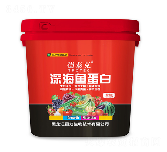 ��㵰��-��̩��-����