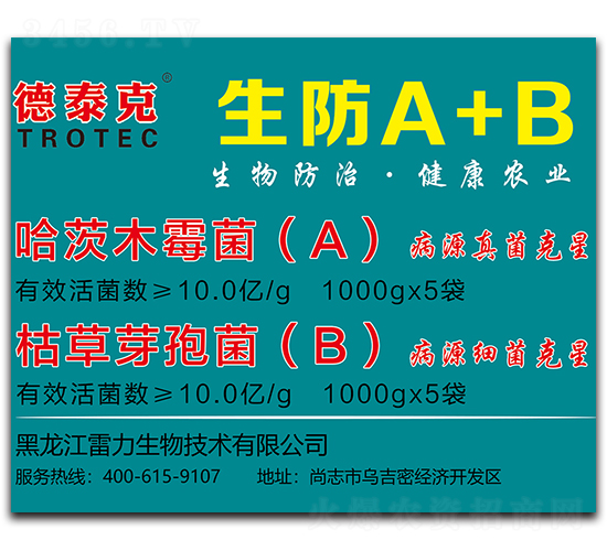 ����A+B-��̩��-����