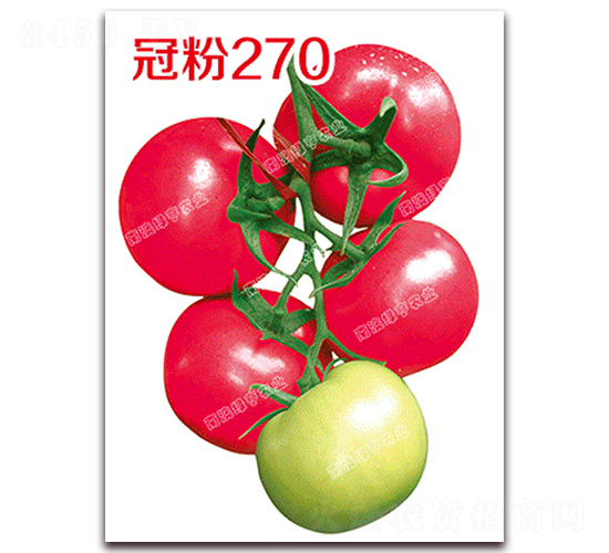 �ڷ�270-�۹���������-�ϰ��̺�