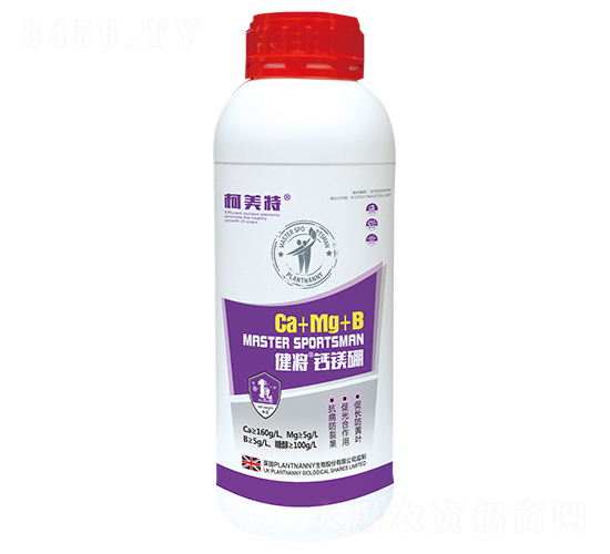 ��þ��Ca+Mg+B��ƿװ��-����-������