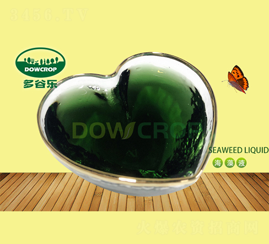 Һ�庣���-�����
