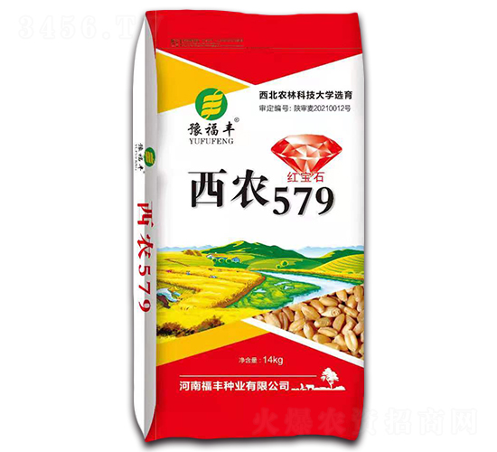 ��ũ579-С������-ԥ�β�