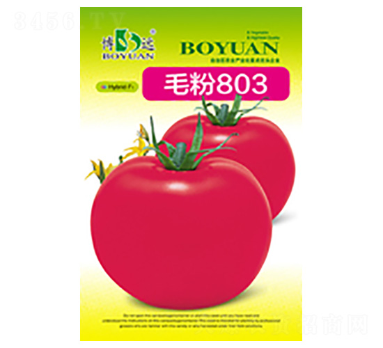 ë��803-��ũ��ҵ
