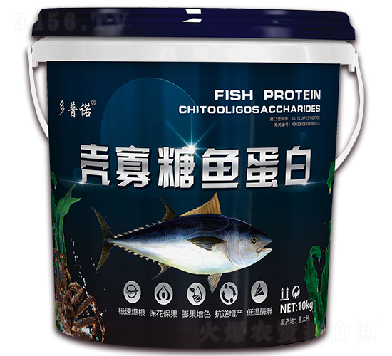 �ǹ����㵰��-����ŵ-�մ��Ƽ�