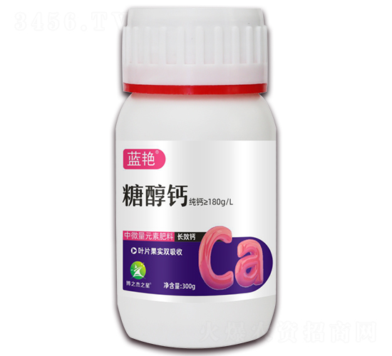 �Ǵ���-����-������