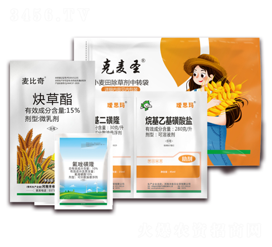 ������Ժ̲�һ�龻-����ʥ-������