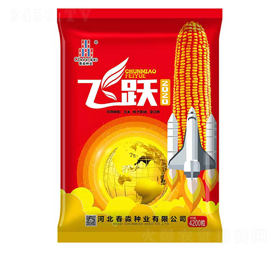 ��Ծ2020-������ҵ