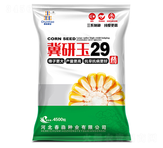 ������29-������ҵ