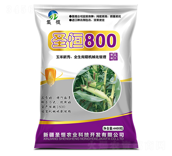 ʥ��800-������ҵ