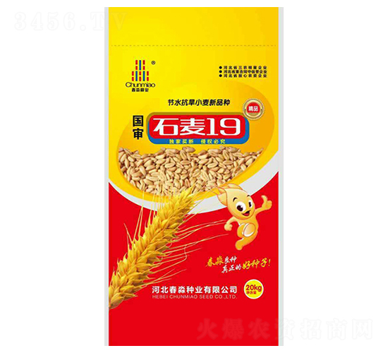 ʯ��19��-������ҵ