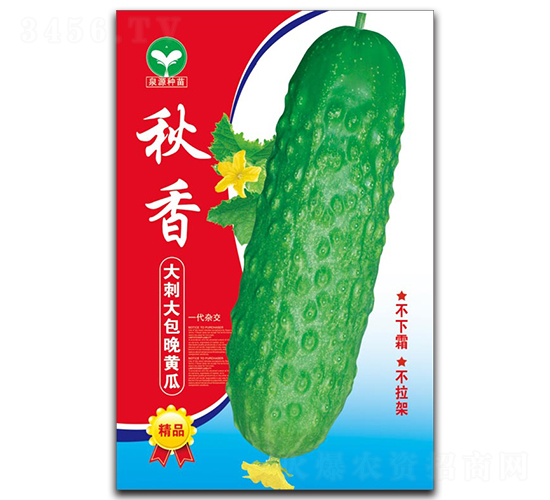 ����-�ƹ�����-ȪԴ