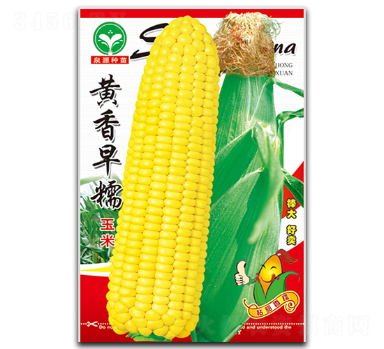 ������Ŵ-��������-ȪԴ