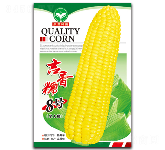 ����Ŵ8��-��������-ȪԴ