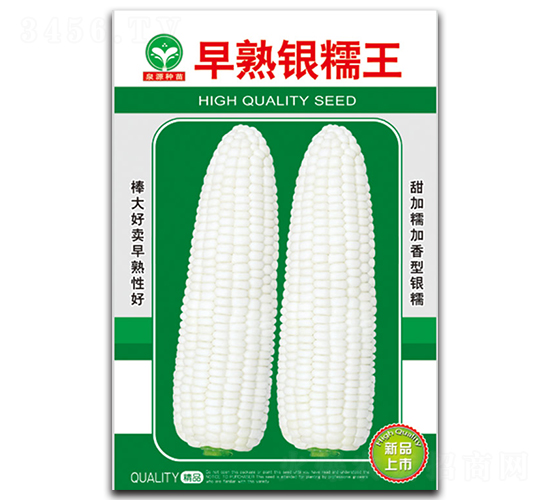 ������Ŵ��-��������-ȪԴ