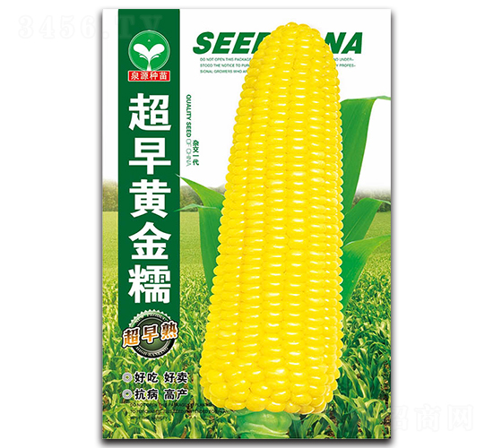����ƽ�Ŵ-��������-ȪԴ