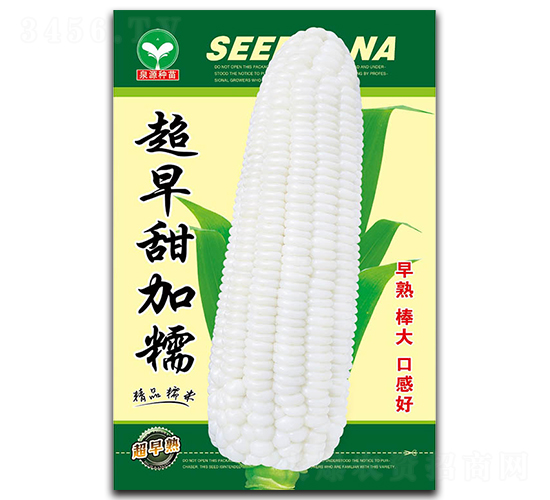 �������Ŵ-��������-ȪԴ
