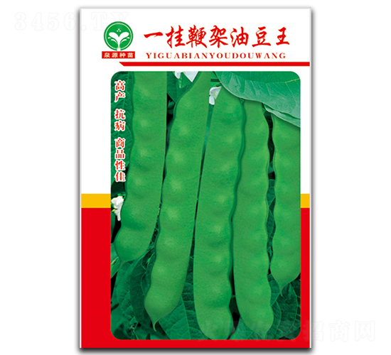 һ�ұ޼��Ͷ���-��������-ȪԴ