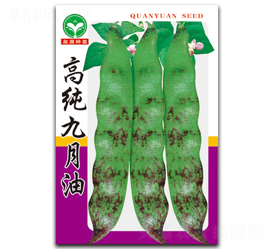 �ߴ�������-��������-ȪԴ