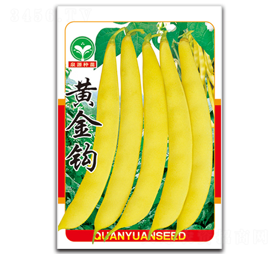 �ƽ�-��������-ȪԴ