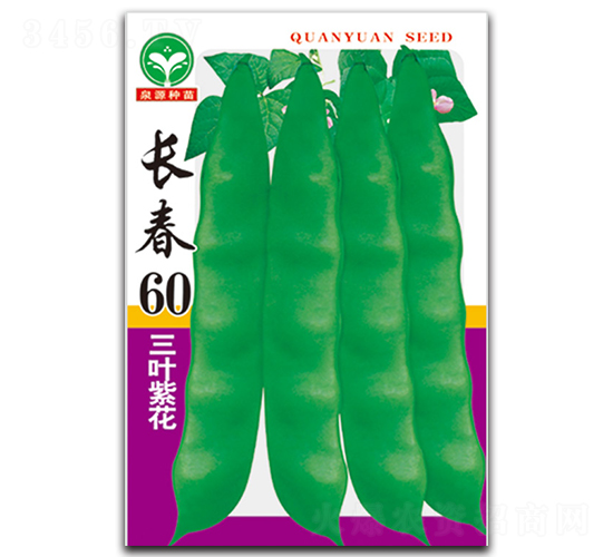 ����60-��������-ȪԴ