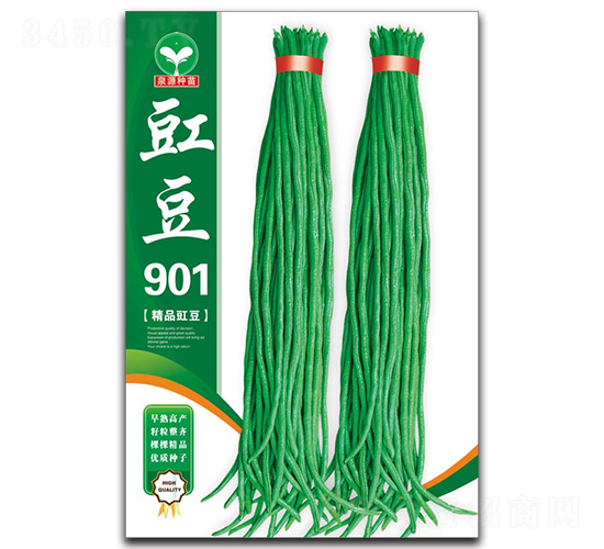 ����901-��������-ȪԴ