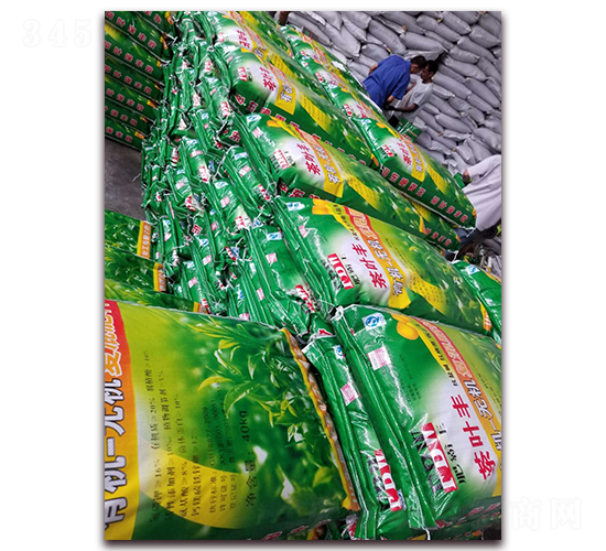 ��Ҷ���л���-÷������