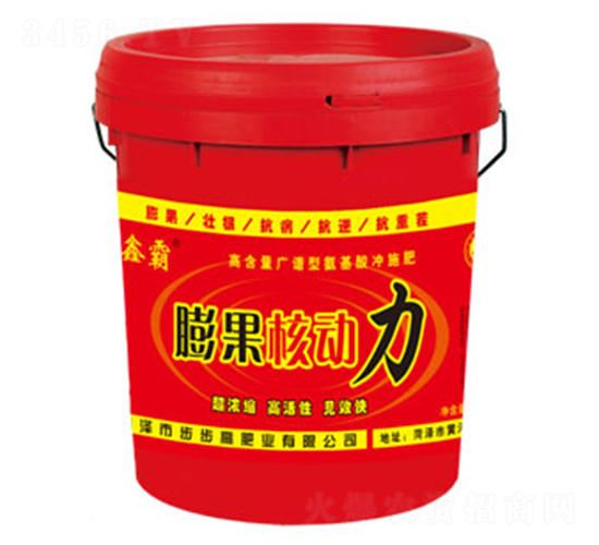 ����˶���-�ΰ�