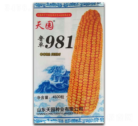 ³��981-��������-��԰��ҵ